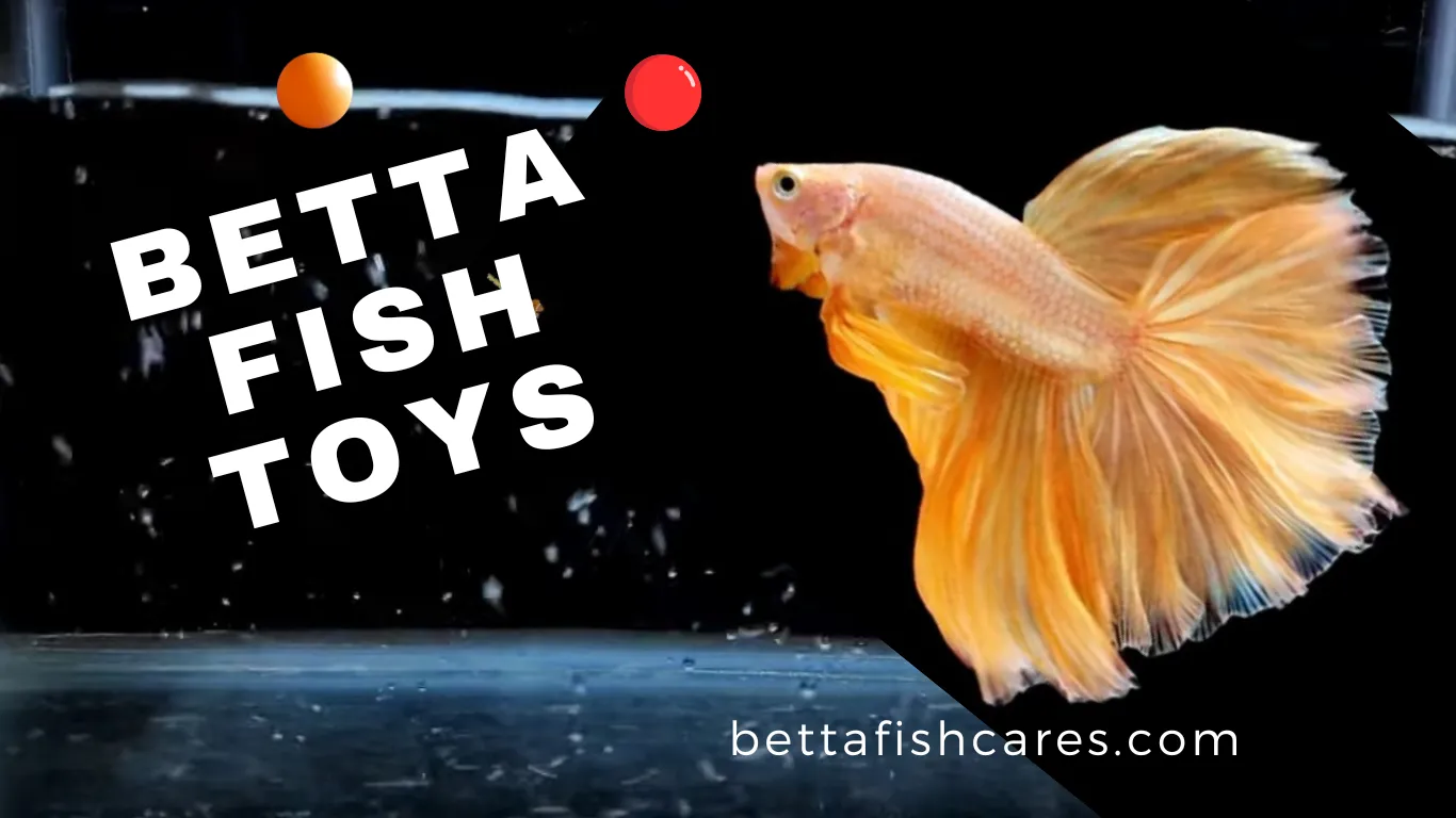 Betta fish toys and decorations